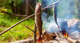 Descubren en Israel la evidencia más antigua del uso del fuego para cocinar alimentos